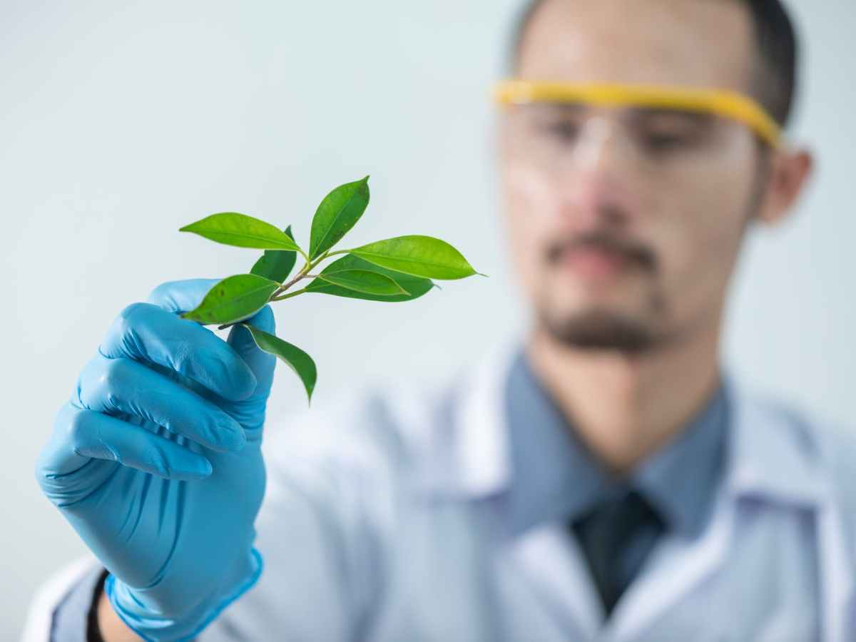 Las Mentiras del Ecoblanqueo y la Resiliencia Climática – CONEXIÓN CLIMÁTICA EP.&nbsp;19